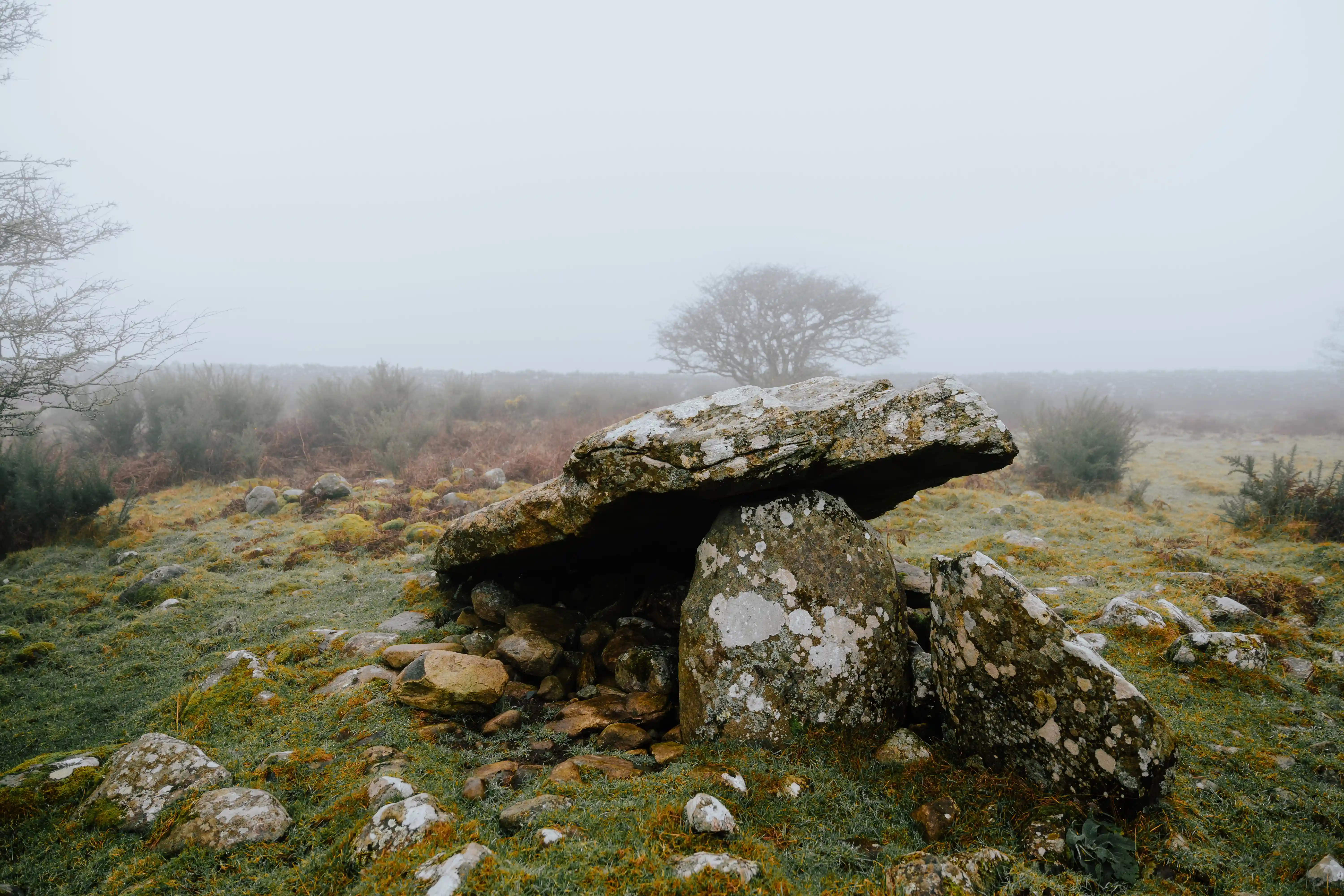 Cors y Gedol burial chamber, Gwynedd, Wales
